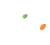 logo_MINA